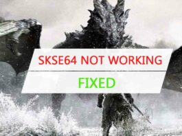 skse64 not working