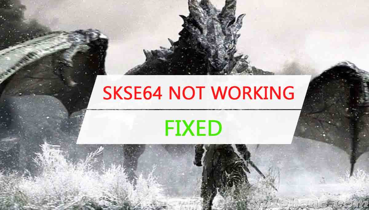 skse64 not working